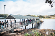 Bay of Islands Tours Glow worm Caves Tour