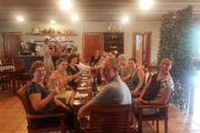Bay of Islands Tours Winery Tours