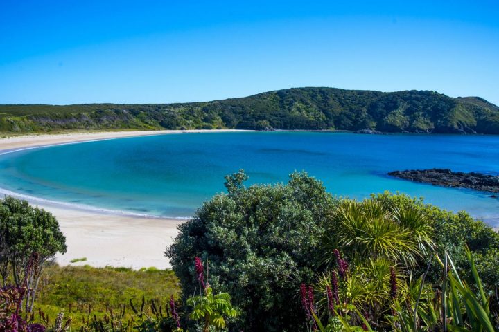 Bay Of Islands Tours