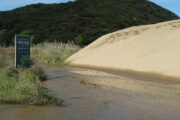 Bay of Islands Tours