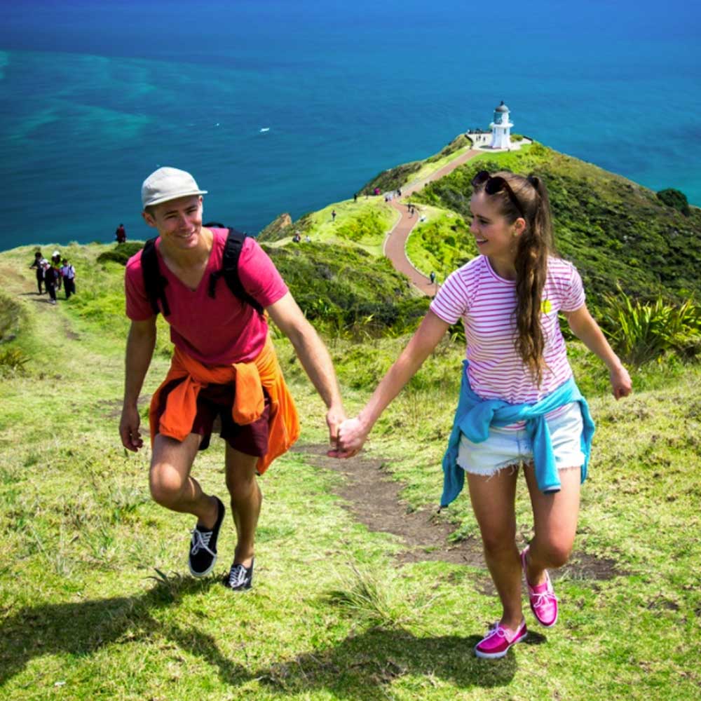 cape reinga tour bay of island tours